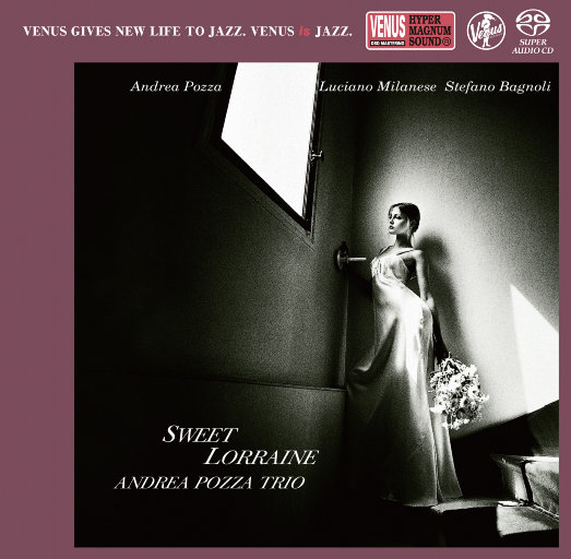 Chinese toilet  videos免费网站
